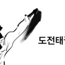 레이카운티 도전태권도 이미지