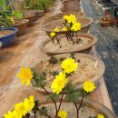 산에들에농장 이미지