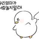 스포독 이미지