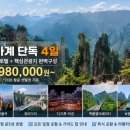 동해여행사