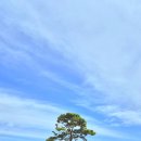 황화목장 이미지