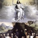 다시오마 이미지