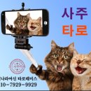 숲:토닥 이미지