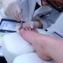 레푸스n바바 이미지