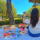 [전북 익산, 전주 / 치치피크닉(chichi picnic)] 전주 피크닉 익산 피크닉 감성 피크닉 대여 후기