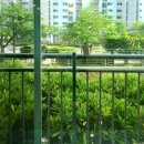 화정4단지 아이파크 앞 이미지