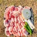 돌돈 이미지