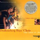 Circle of Life 中 3 곡 / Drakensberg Boys' Choir 이미지