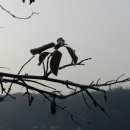 각평낚시터 이미지