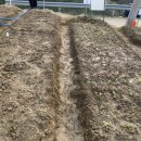 열무농장 이미지