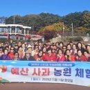 광명농장 이미지