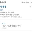 시나미 이미지