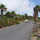 강정동-7 이미지