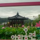 함안연꽃테마파크 이미지