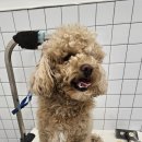 반자주 진해점 이미지