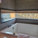 주식회사 오션드라이브스튜디오 | 제주 애월 숙소 추천 ☘️ 스탠포드호텔 디럭스 가든뷰 트윈룸 후기