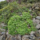 추봉보건진료소 이미지