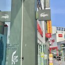 라코스테광복 | X 라코스테 콜라보 유니섹스 저지 티셔츠 :: 여름 커플티 추천, 라코스테 부산광복직영점 구매 후기🐊