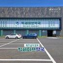 단비약국 | 메가·파마스 제치고 최저가 갱신한 이호동 제주공항 근처 약국 '제주빅세이브약국' 솔직 후기