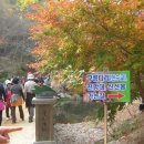 황제원 이미지
