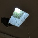 미영농장 이미지