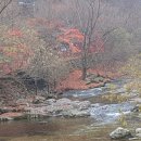 추령장승촌 이미지