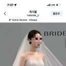 대전/청주 드레스투어 후기 (아이브 브라이드, 하우스오브에이미, 어바웃브라이덜)