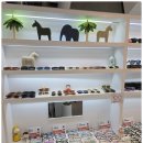 으뜸50안경원 이미지