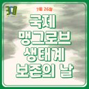 [수호이슈 | 7월 5호] 네?! 이런 맹그로브 숲이!!!! 당장 출동하겠습니다!!