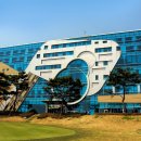 신안골프 이미지