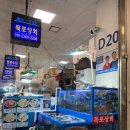 노량진 수산시장 횟집 목포상회 모듬회 후기｜노량진 회 맛집