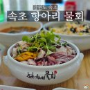 속초여행 물회맛집/ 가볼만한곳 속초항아리물회 강추 후기