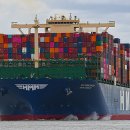 퐁당퐁당 이미지