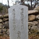 석장승(남장사) 이미지