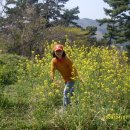 청산별곡 이미지