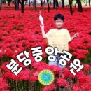 효자어린이공원 놀이터 이미지