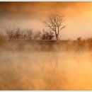 호수의아침 이미지