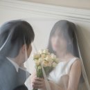 비가 | 웨딩 촬영 | 비가 왔던 '그림비스튜디오' 후기 (ft. 헤어변형, 원본)