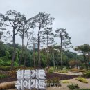 바람길 이미지