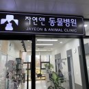 자연앤동물병원 이미지