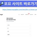 모요 이미지