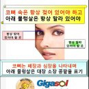 왼쪽으로 누워서 자면~~췌장도 간도 덩달아 죽고 이미지