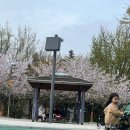 옥자축사 | 2024.4월