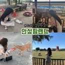 안성팜랜드 동물 먹이주기 체험 운영시간 승마 가축공연 아기랑 갈만한곳