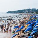 대천해수욕장 이미지