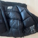 Dr.j 동물병원 | 겨울 데일리 숏 패딩 추천｜노스페이스 보니타 다운 자켓(NJ1DR94J) 리얼 후기