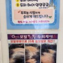 큐사랑헤어