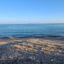 금장해수욕장 이미지