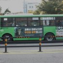 펫버스 이미지
