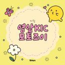 D&F인터내셔날 | 영암 KIC 모토조이 여름휴가로 미리 즐겨보는 F1 행사 방문후기!